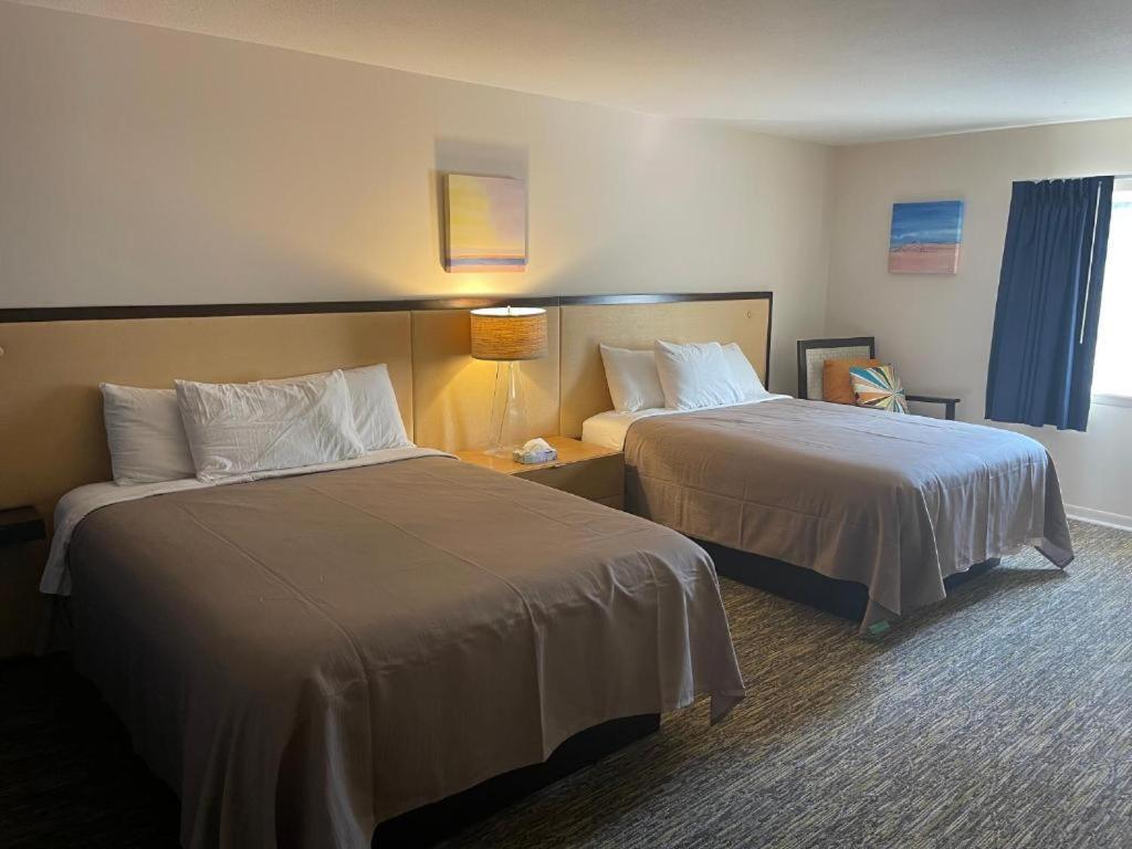 Camp Inn Lodge Au Sable Екстериор снимка